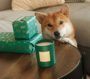 Creating Cozy Home Vibes, New Year's Decor Ideas