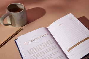 Habit Notes: Daily Habit Tracking Journal / Christmas Gift